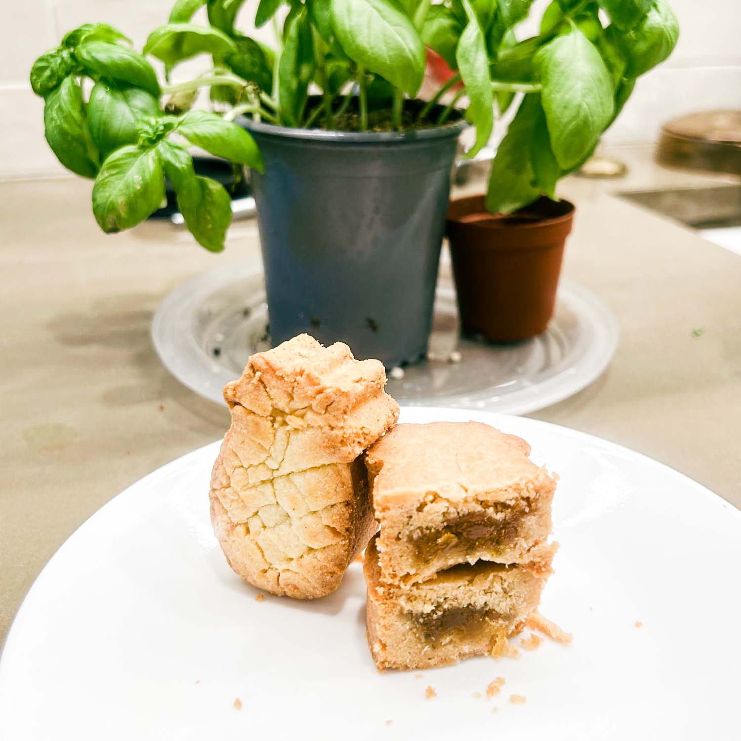 Cross-Section of Pineapple Lavender Shortbread Cakeross-section - Philly Cookie Co. Store Cross-Section of Pineapple Lavender Shortbread Cake